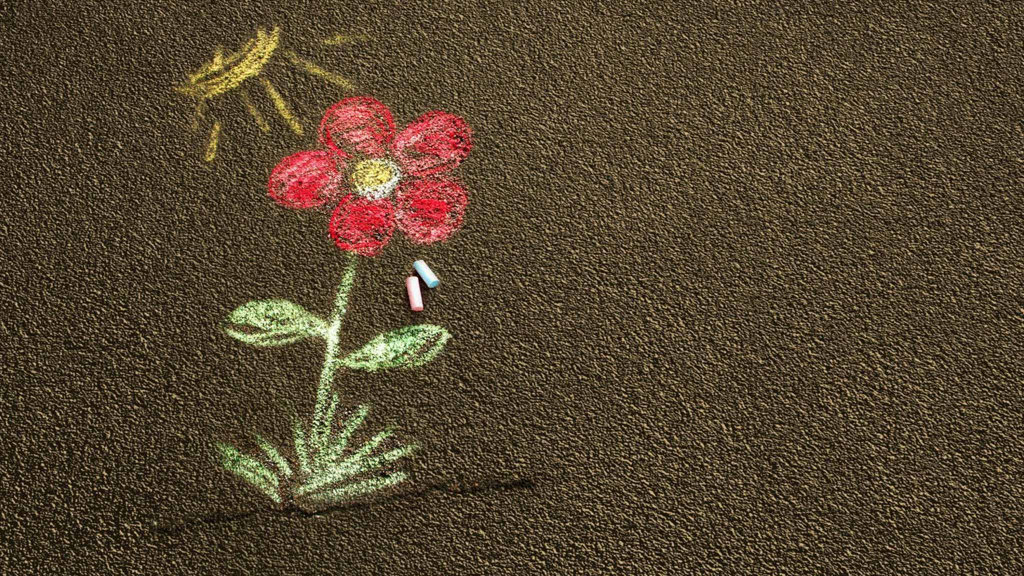 Fiore disegnato con gessetti colorati — Istituto San Francesco di Sales